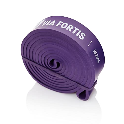 VIA FORTIS Premium Fitnessbänder mit praktischer Tasche