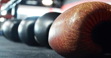 Boxhandschuhe Test