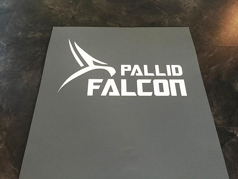 Fitnessmatte Test Pallid Falcon Logo